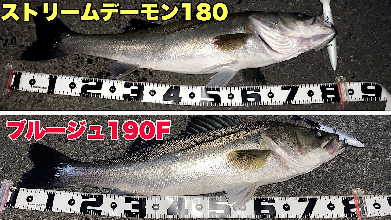 シーバスルアー　まとめ売り　ジグザグ　ストリームデーモンなど 0362k4533625055095_1.jpg