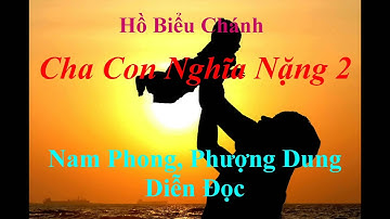 2-Cha con nghĩa nặng-phần 2 - Audio Book