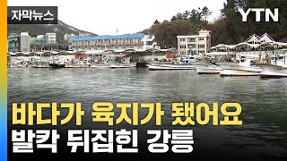 [자막뉴스] 