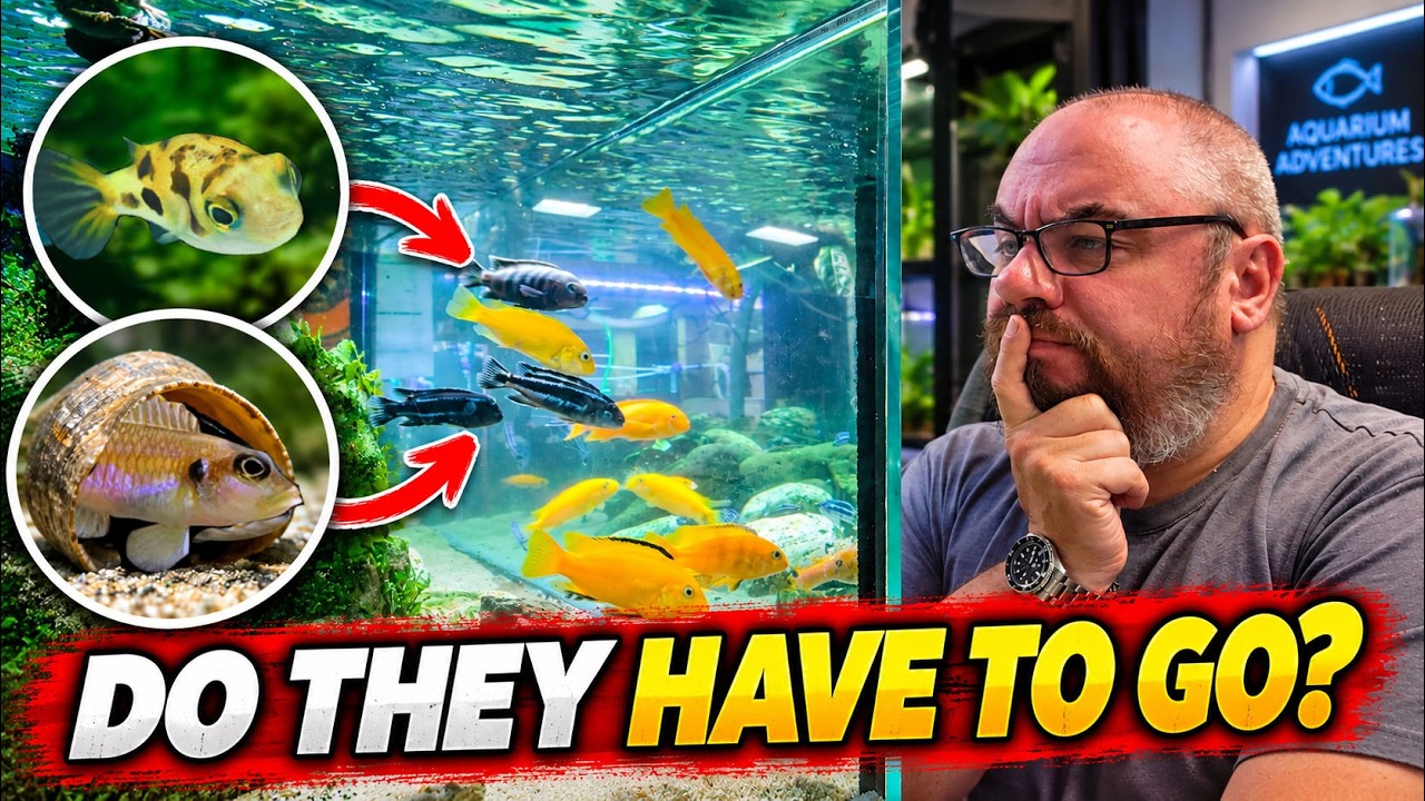 Turning My Hobby Into a Business Has Created a Problem