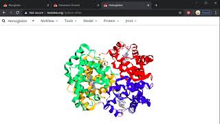 Introduction to viewing protein structures on MolView Profile
