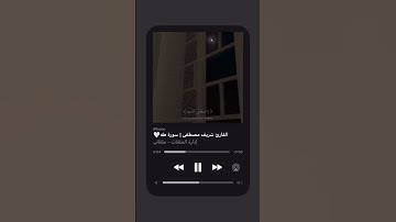 القارئ | شريف مصطفى