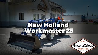 New Holland Workmaster 25