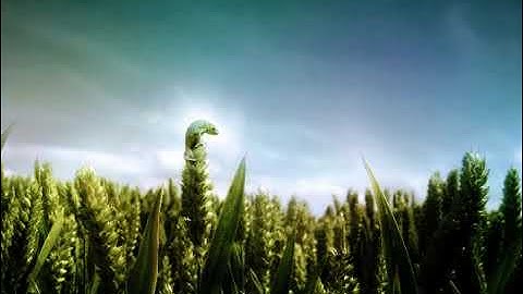 الجزء الحادي و العشرون سورة لقمان بصوت الشيخ عبد العاطي ناصف