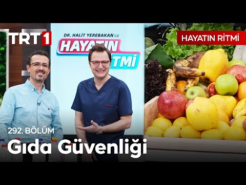 Video: Sebze Bahçenizi Ne Zaman Ekeceğinizle İlgili Bilgiler