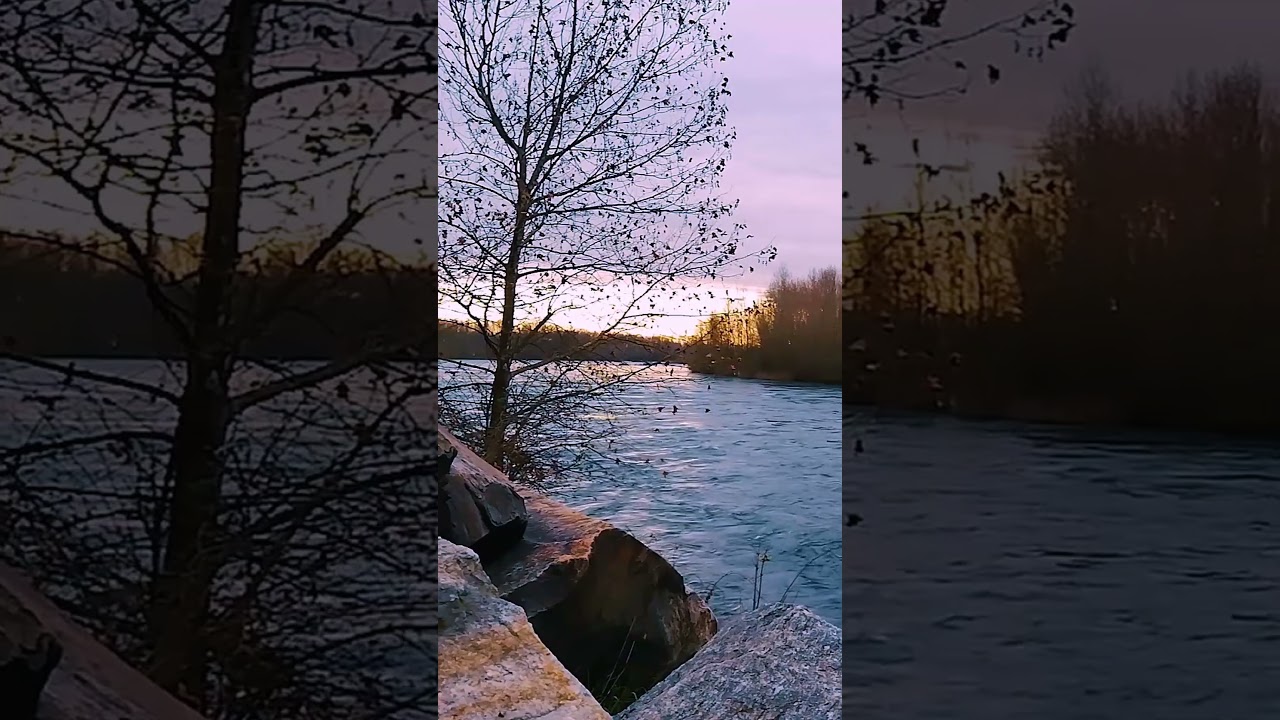Watch Serene #river Stream Relaxation: Unveiling the Power and Majesty of #nature on YouTube Watch Serene #river Stream Relaxation: Unveiling the Power and Majesty of #nature on YouTube