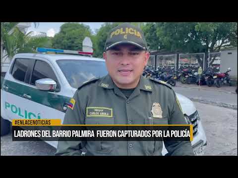 CAPTURADOS LADRONES EN PALMIRA