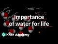 The Essential Role of Water in Life and Biological Processes