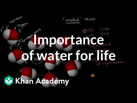 Importance of water for life | Chemistry of life | AP Biology | Khan Academy