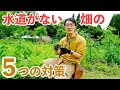 水道がなくてもOK！毎日の水やりから解放される5つの方法