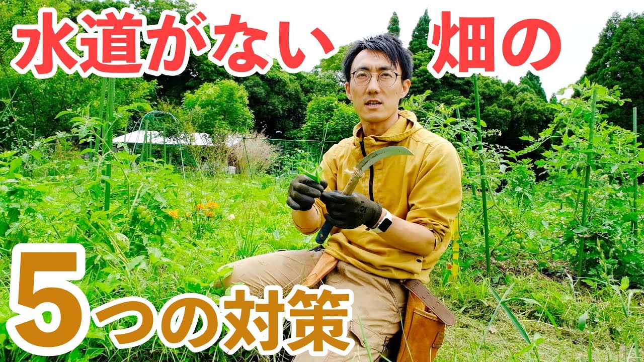 水道がなくてもOK！毎日の水やりから解放される5つの方法