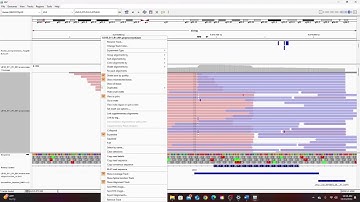 IGV Tutorial Part 3: Layout and Basic Usage