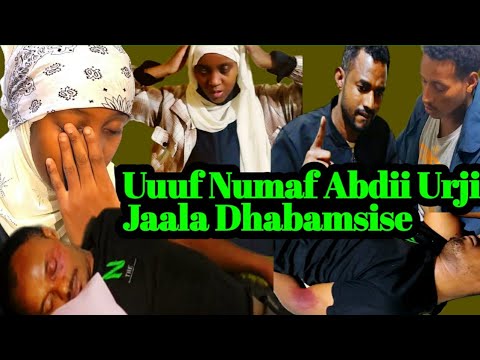 Uffff Carra Koo Abdii Naa Jaala Dhabamisisani Urjin Maaratufi