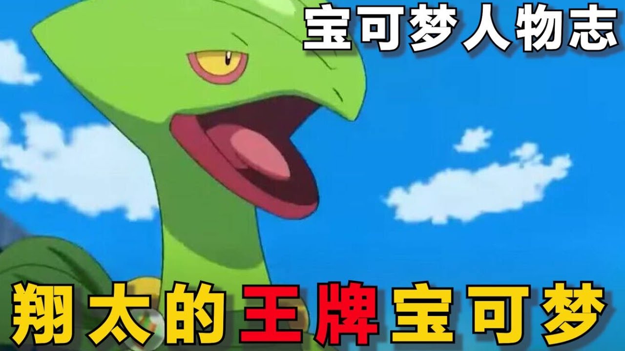 【宝可梦人物志】翔太的王牌宝可梦!多次进化变强,但依旧被小智的忍蛙轻松击败! - YouTube