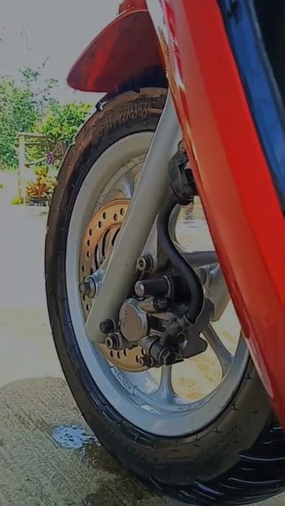 story wa Scoopy std
