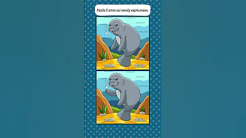6 Отличий Морской Котик