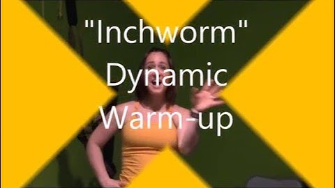 Inchworm Dynamic Warm up Exercise