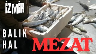 Mezat İzmi̇r Balik Hali̇ 29.03.2026