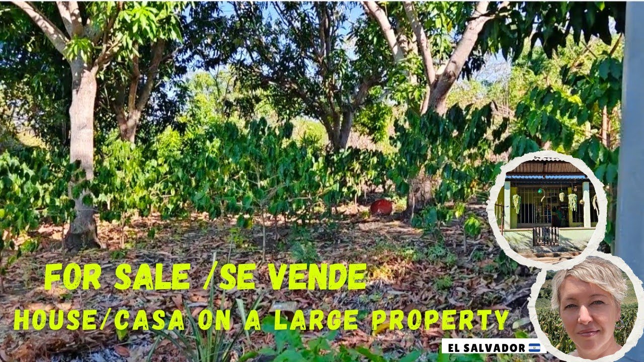 House FOR SALE On A Large 4,000 Square Meters Property in El Salvador. 