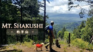 Hiking in JAPAN -  Mt. Shakushi 🐶😃  Yamanashi Prefecture -