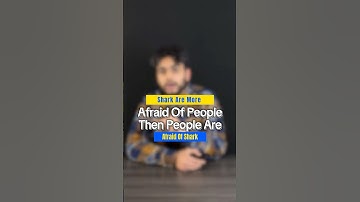 The Availability Heuristic: How Recent Events Skew Decision-Making