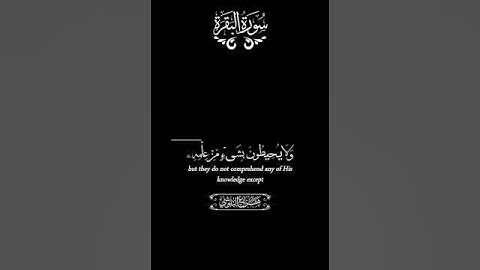 اية الكرسى اعظم اية فى القران الكريم  #اكسبلور #قرآن #viral