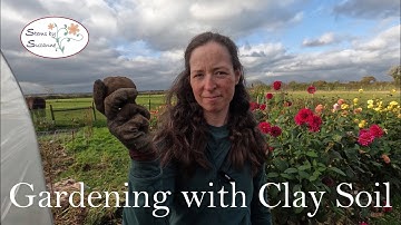 Improving Clay Soil Structure for a Healthy Productive Garden// Stems by Suzanne Cut Flower Garden🌸