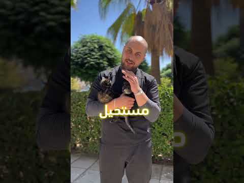 البسس الأفضل عدم تبني القطط قبل عمر ال60 يوم