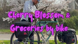 SEOUL CHERRY BLOSSOM // Grocery getting by bicycle