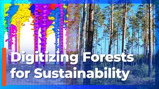 Digitizing Forests for Sustainability Efforts screenshot 4