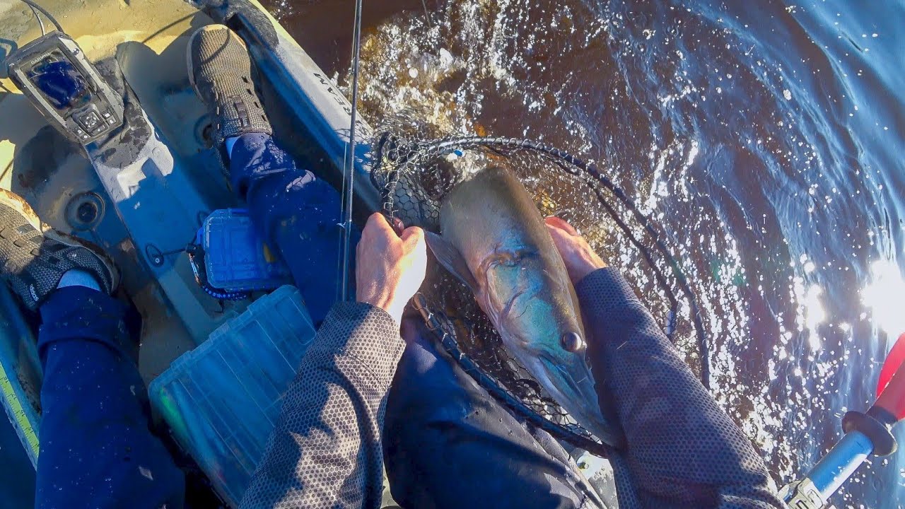 My 1st Muskie Kayak Fishing for Muskie in Michigan YouTube