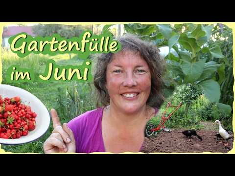 Gartenarbeit Juni - Beete bestellen & ernten
