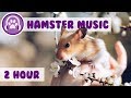 Hamster Music - Relaxing, Soothing Music for Pet Hamsters!