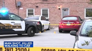 Man shot, killed while getting into car in south suburbs, police say