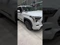 POV: You fly to Tampa to buy a car and accidentally fall in love with the city (and maybe the sales