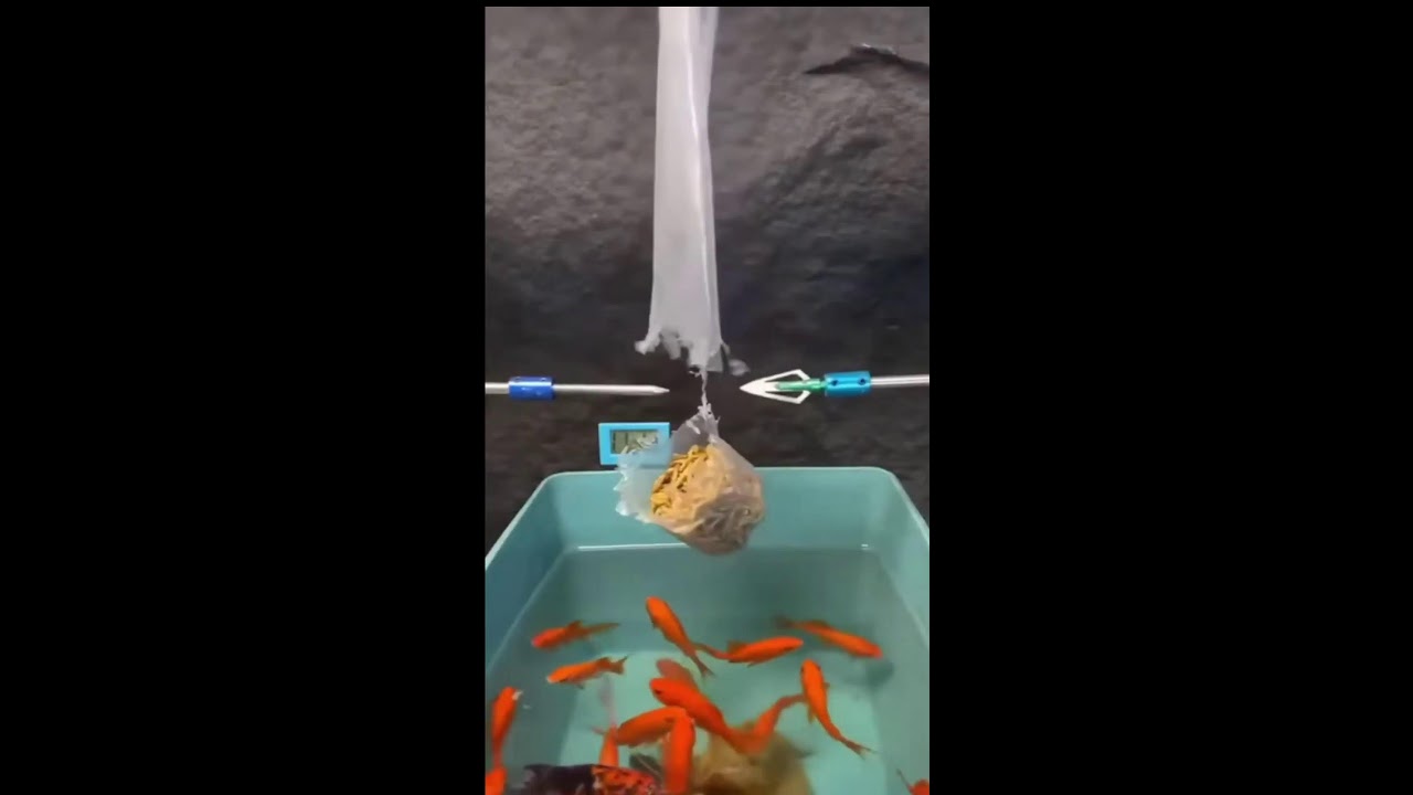 СТРИМ ШОРТС ИГРАЕМ