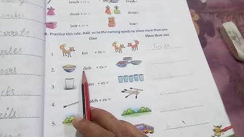 Class1/English Grammar /Chapter 4/One and More than One