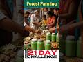 Day 2 – Herbal Farming से सालाना ₹1 लाख+ कमाई | Tulsi, Aloe Vera, Ashwagandha | Forest Farming
