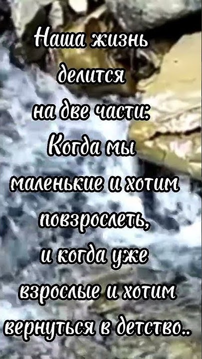 Мысль дня #мысливслух #цитаты #статусы - YouTube