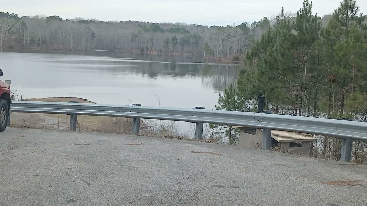 A kidney, a castle, and phil campbell 