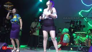 Fitri Ananda Aku Bukan Jodohnya Lika Liku 