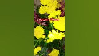 I Honestly love you ❤️🙏🫂