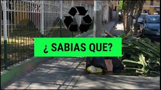 Mi video3