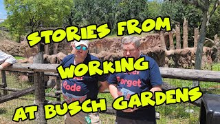 Stories from Working at Busch Gardens and Rhino Rally - Confessions of a Theme Park Worker
