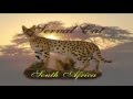 Serval Cat Hunting in South Africa