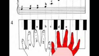 Klaviernoten Lernen Fur Anfanger