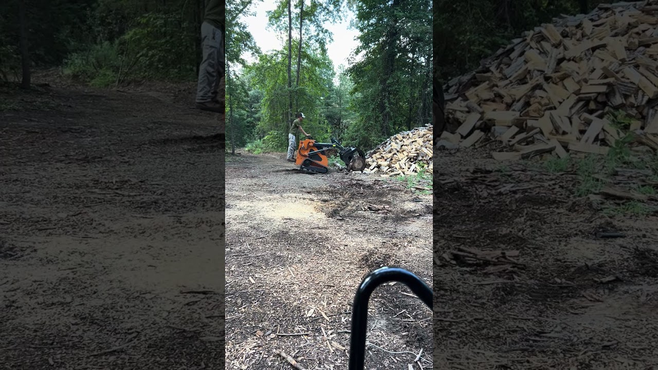 The mighty Chinese Mini Skid Steer!
