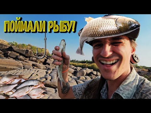 Видео: РЫБАЛКА ПО ИНДИЙСКИ. ПОЙМАЛИ РЫБУ!(день 5)