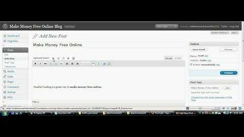 Creating your first post in your Wordpress Blog