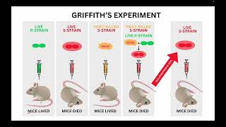 Week 4 Molecular Biology_NPTEL Problem Solving Session